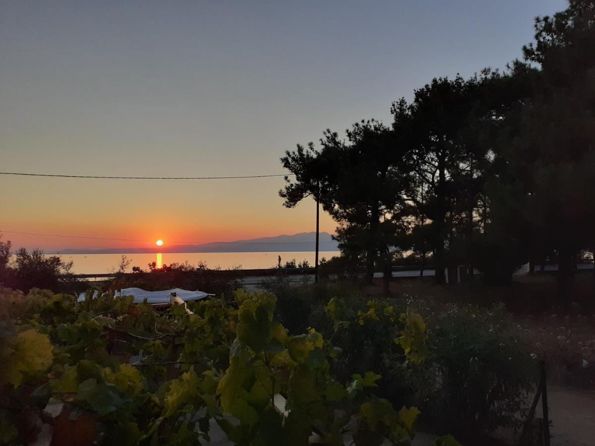 Το Σπίτι Με Το Πηγάδι - Wellcottage Thassos Skála Kallirákhis Extérieur photo