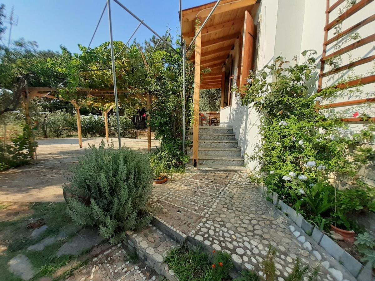 Το Σπίτι Με Το Πηγάδι - Wellcottage Thassos Skála Kallirákhis Extérieur photo